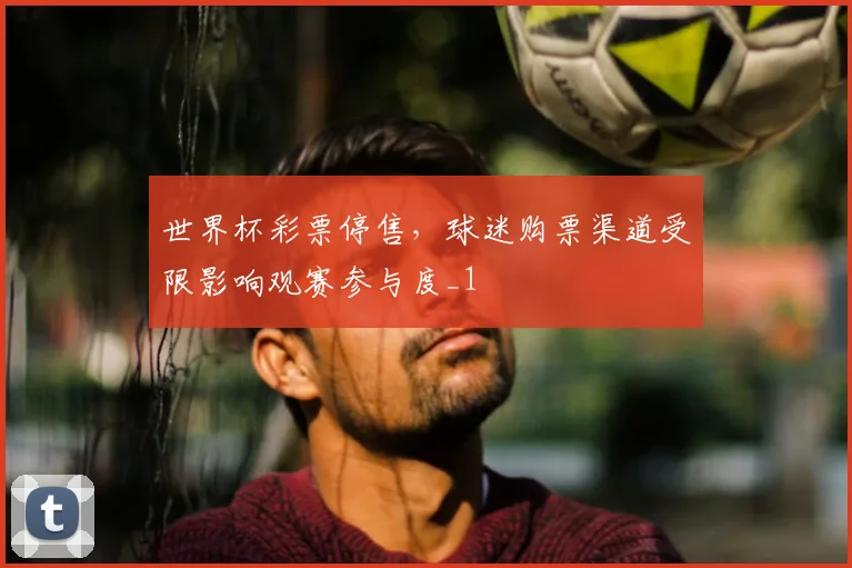 世界杯彩票停售,球迷购票渠道受限影响观赛参与度_1