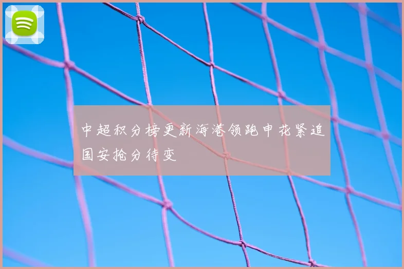 中超积分榜更新海港领跑申花紧追国安抢分待变