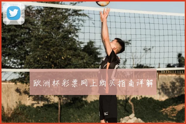 欧洲杯彩票网上购买指南详解