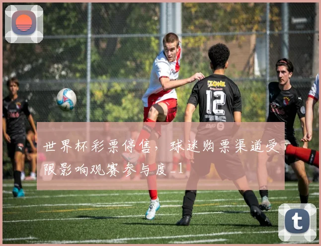 世界杯彩票停售,球迷购票渠道受限影响观赛参与度_1