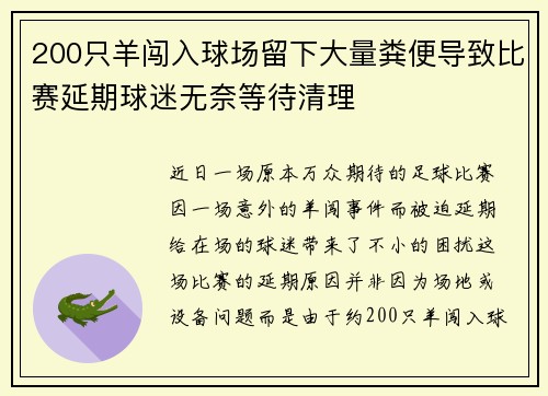 200只羊闯入球场留下大量粪便导致比赛延期球迷无奈等待清理